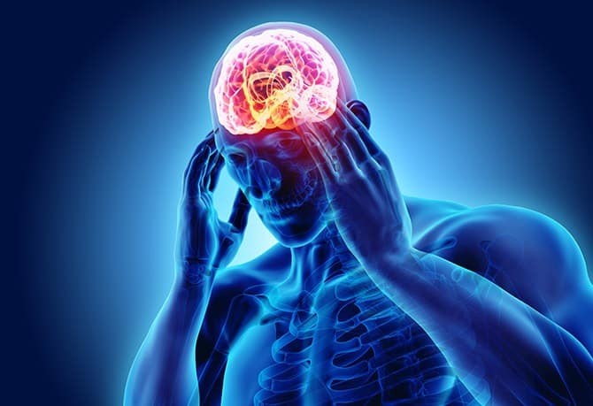 Brain