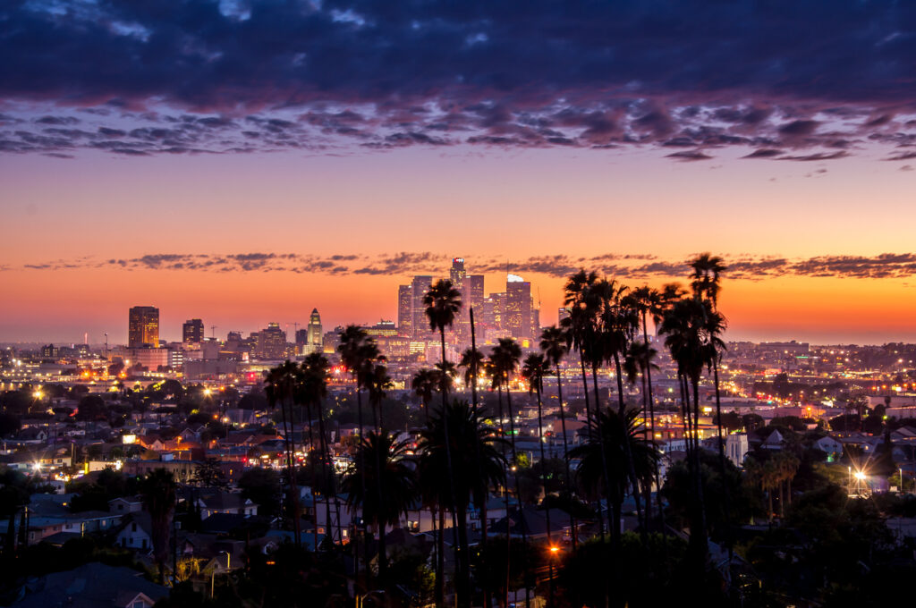 night of Los Angeles downtown skyline with palm trees in foreground, where the best personal injury lawyers in Los Angeles who help personal injury victims with an injury claim are based 